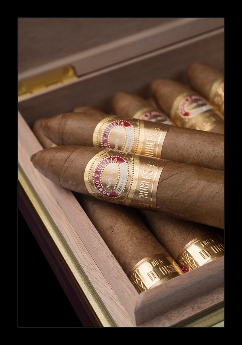 Preserving Your Prized Cigars: How To Store Your Cigar