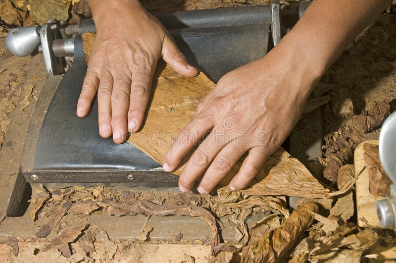 Hand rolled cigars